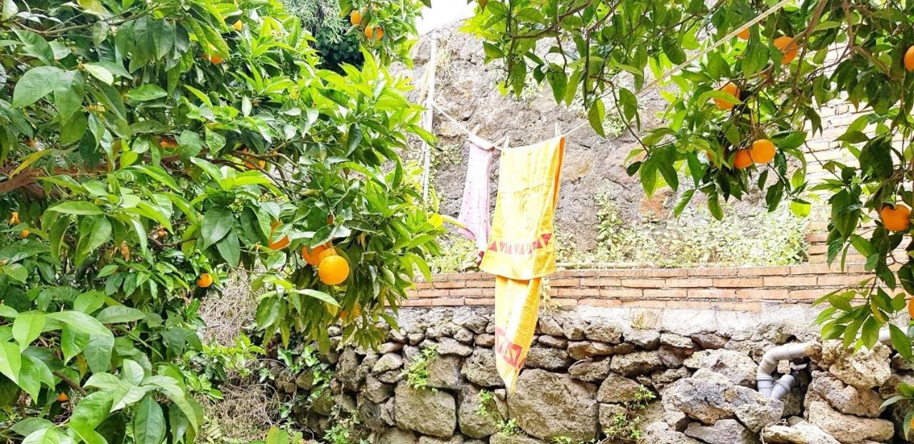 L'Aranceto Villa Acireale Ngoại thất bức ảnh