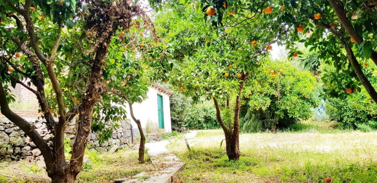 L'Aranceto Villa Acireale Ngoại thất bức ảnh